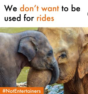 World Elephant Day