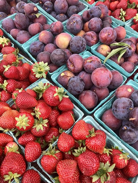 Cooper-Young Community Farmers Market
