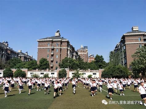 南昌外国语九里象湖城学校2018年秋季插班生招生公告