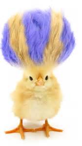 Headless, yet alive: 10 creatures who can survive after losing their head