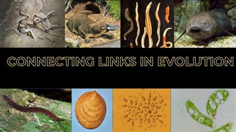 Image result for Relation Between Operator Sy Bsc CS Math