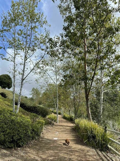 Mission Viejo's Oso Creek Trail - California | AllTrails