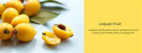 Loquat Fruit - Health Benefits, Uses and Important Facts - PotsandPans ...