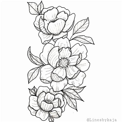 flower drawing anime