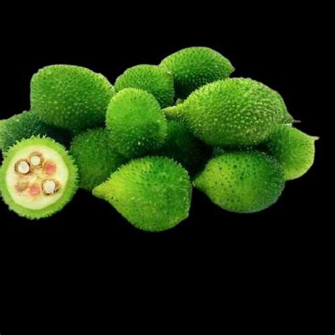 100+ Vegetables Name in English and Hindi with Picture