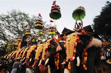 Kerala's Most-Loved Elephant Allowed To Participate In Thrissur Pooram