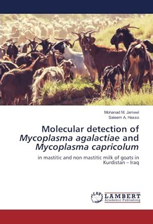 Molecular detection of Mycoplasma agalactiae and Mycoplasma capricolum ...