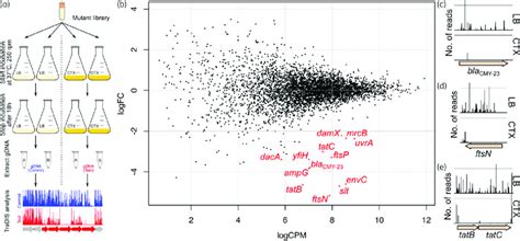 Image result for Forward Genetic Screen