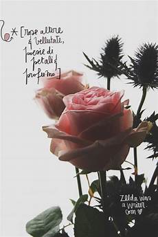 frasi e fiori fiori frasi fiori was a writer frasi e fiori fiori frasi fiori was a writer