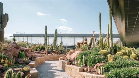 Desert City, the cactus nursery in Spain’s San Sebastian de los Reyes ...