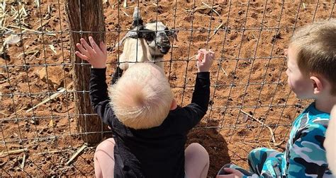 KIRKALOCKA STATION (Mount Magnet) - Campground Reviews & Photos ...