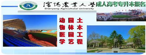 沈阳农业大学成人高考招生专业（专科、函授本科） - 知乎