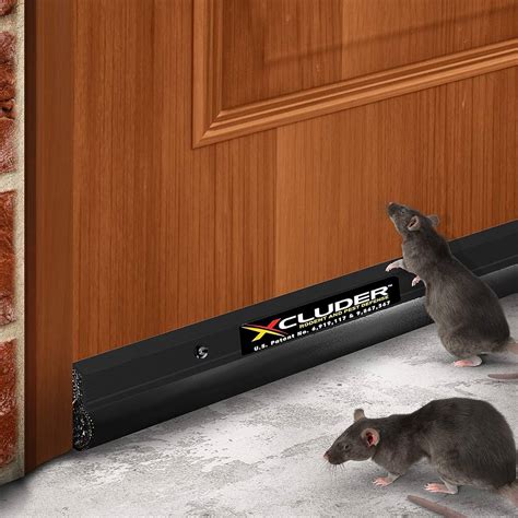 About Us | Npco Services Pvt. Ltd. – Pest Control Experts in Vadodara