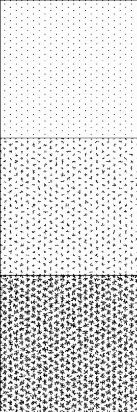 Image result for Imagem Bitmap