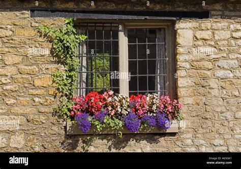 Image result for Window Sill Cottage Core