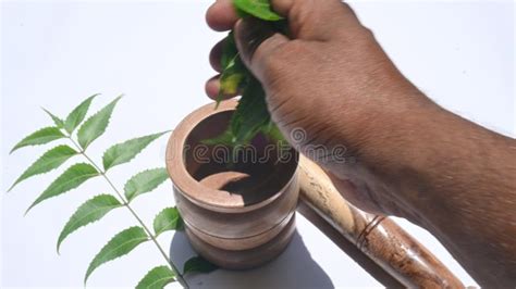 Nature Medicine 的图像结果