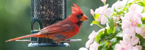 Image result for Class 10 Science Chapter 8 by Success CDs