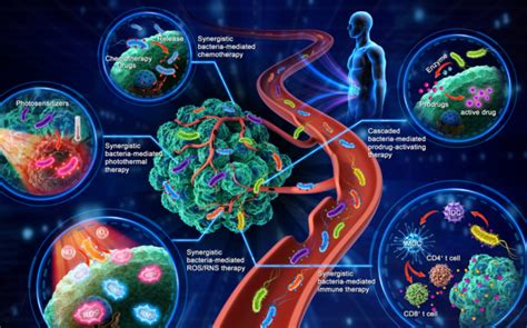 小细菌，大潜能：细菌介导的联合抗癌疗法综述-纳微科技