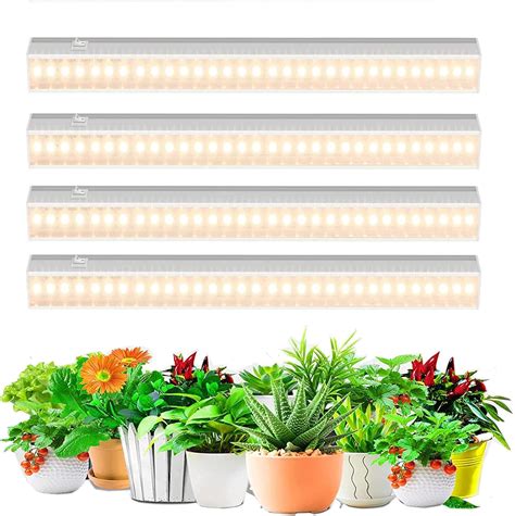 Grow Lights For Indoor Plants Lowe S at John Spiker blog