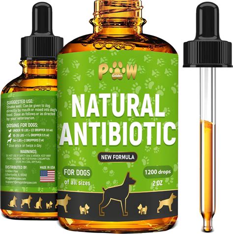 Antibiótico para perros Antibiótico para perros Antibióticos para ...