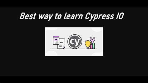 Cypress.io Tutorial 的图像结果