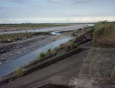 Image result for 堤岸 levee
