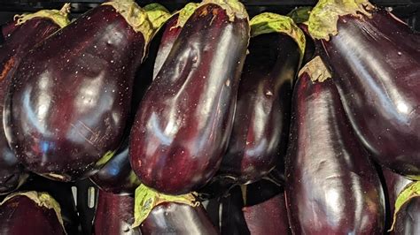Is an Eggplant a Fruit or a Vegetable?
