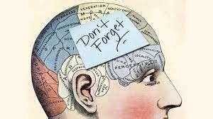 Image result for Sharp Memory Examples