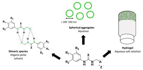 Towards the Application of Supramolecular Self-Associating Amphiphiles ...