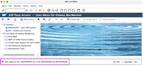 Image result for Encrypt SAP Control Connection