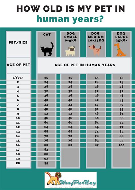 What age does my pet become a senior? — Woofpurnay Veterinary Hospital | Professional ...