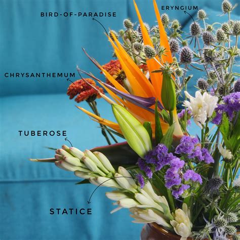 Flowerbox Fragrance - Gift Subscription – Shades of Spring