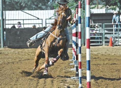 Image result for Pole Bending Tips