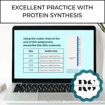 Image result for Protein Synthesis Practice HS LS1 1