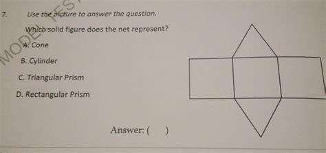 identify the shape pls - Brainly.in
