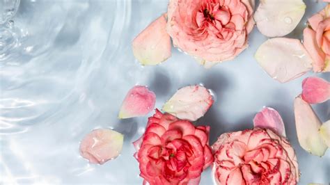 Rose Water on Face Overnight: Benefits & How to Use It