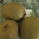 Fresh Premium Kiwi Green, 3 Pcs Pack : Amazon.in: Grocery & Gourmet Foods