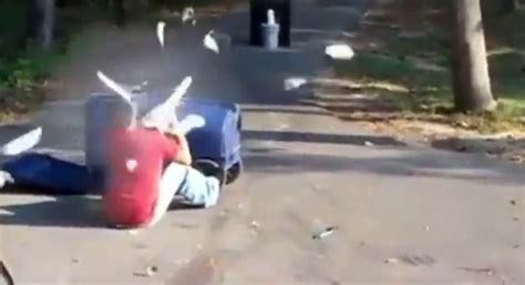 Image result for Potato Gun Exploding