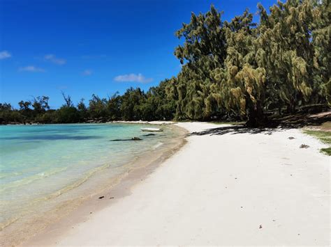 Global Business Company and Authorised Company licenses compared - Trustmore