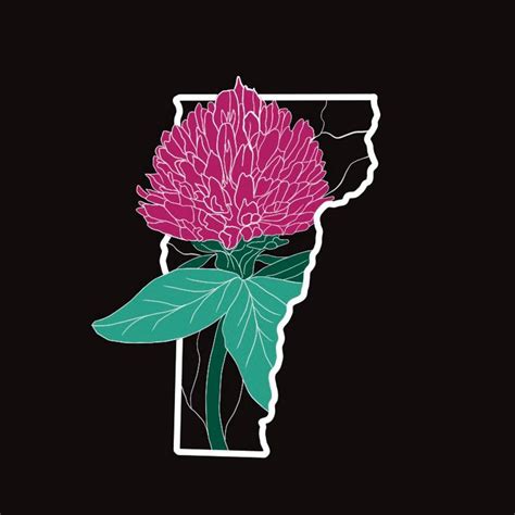 Vermont State Flower Print: Hand-drawn Red Clover Botanical Art - Etsy