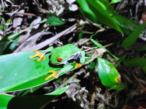 AGOUTI TOURS (2026) All You Need to Know BEFORE You Go (with Photos ...