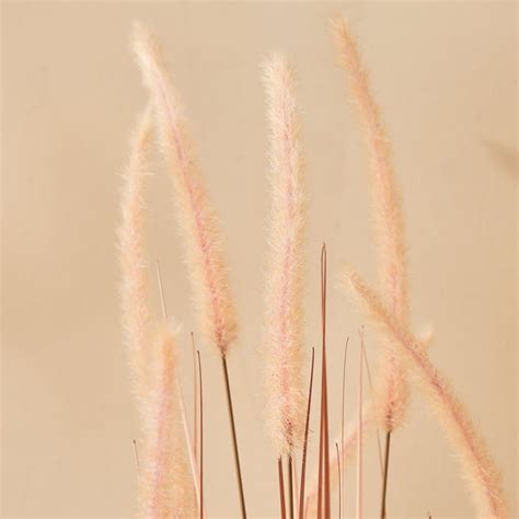 Buy Gardenia Artificial Dogtail Plant in Pot - 85cm from Home Centre at ...