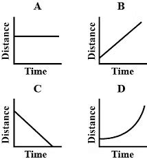 Unit Test : Motion - Science Class 9 PDF Download