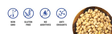 Happilo Premium International Exotic Pinenut Kernels 150g, Chilgoza ...