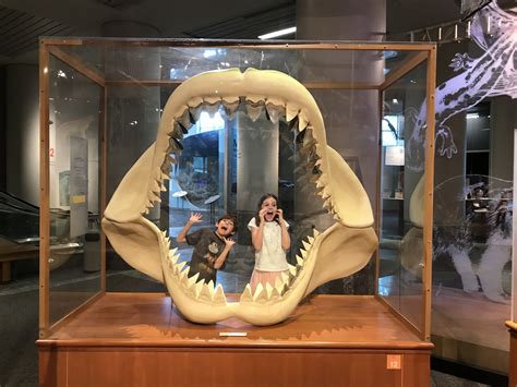 North Carolina Museum of Natural Sciences in Raleigh, North Carolina ...