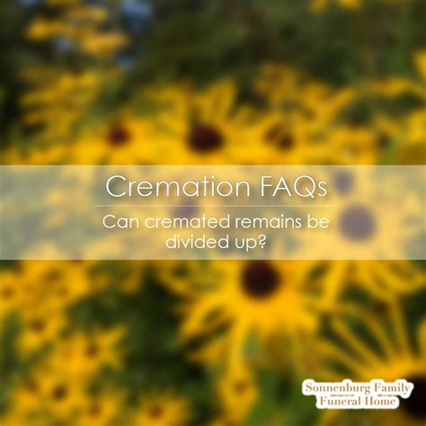 Sonnenburg Family Funeral Home and Cremation | Tomah WI