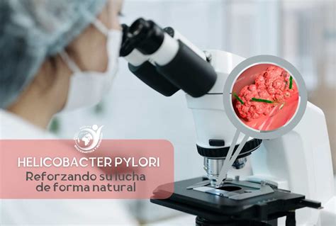 Helicobacter Pylori Cura Definitiva