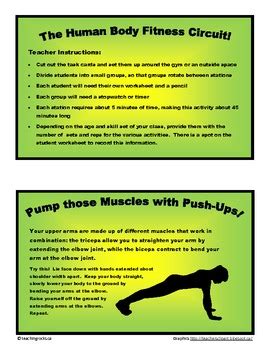 Integrate Science and Phys Ed with The Human Body Fitness Circuit!