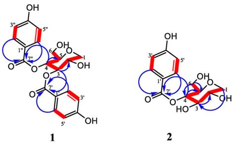 Characterization of Four New Compounds from Protea cynaroides Leaves ...