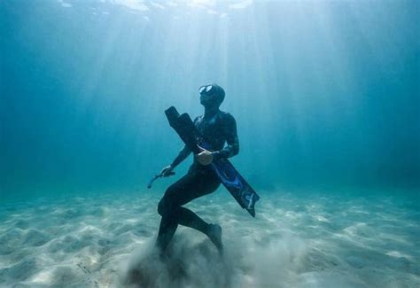 Superb; flexible, professional and fun in equal measure - Reviews ...